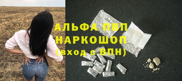 прущие грибы Мегион