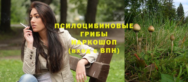 прущие грибы Мегион