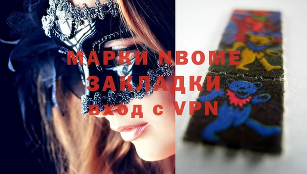 прущие грибы Мегион