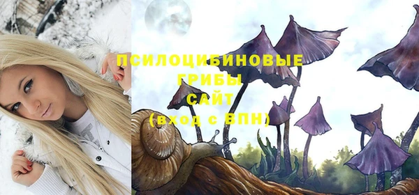 гидропоника Медвежьегорск
