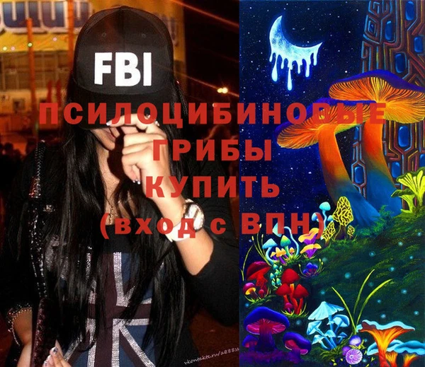 тгк Медногорск